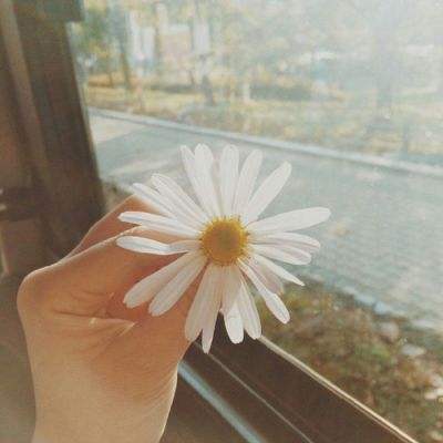 pg电子·模拟器(试玩游戏)app下载截图